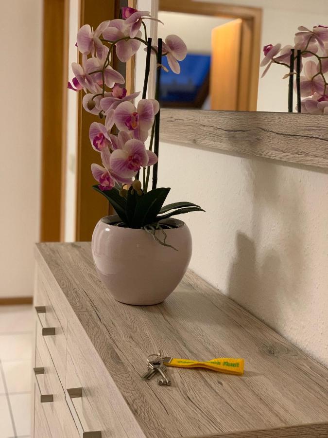 ルストCasa Catalinaアパートメント エクステリア 写真